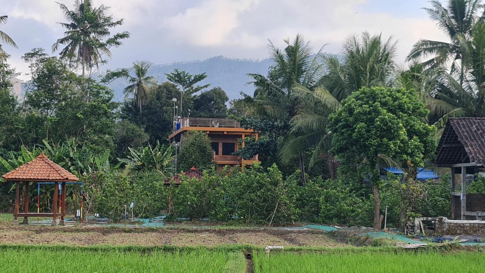 Anugrah Borobudur Magelang Eksteriør billede