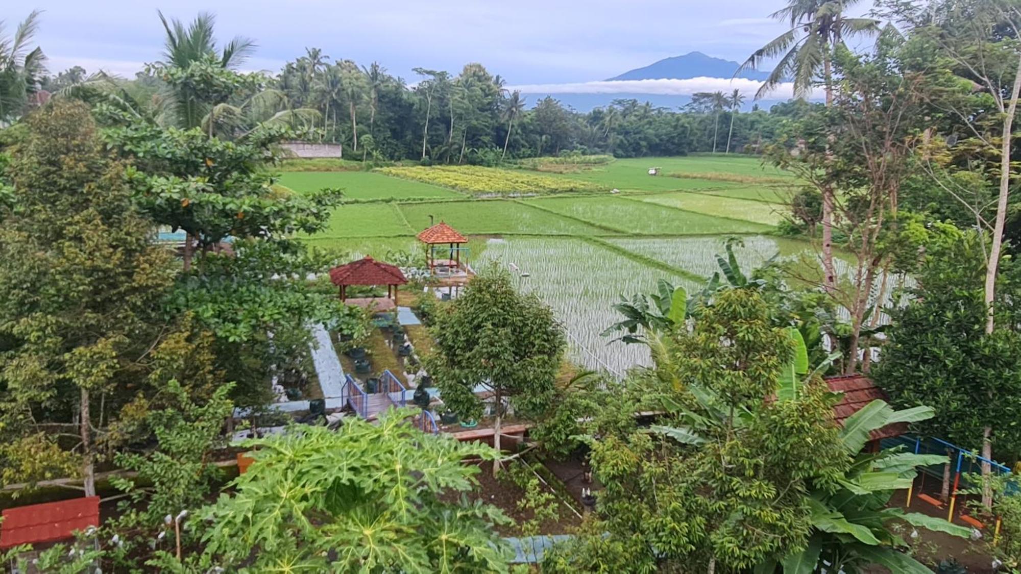 Anugrah Borobudur Magelang Eksteriør billede