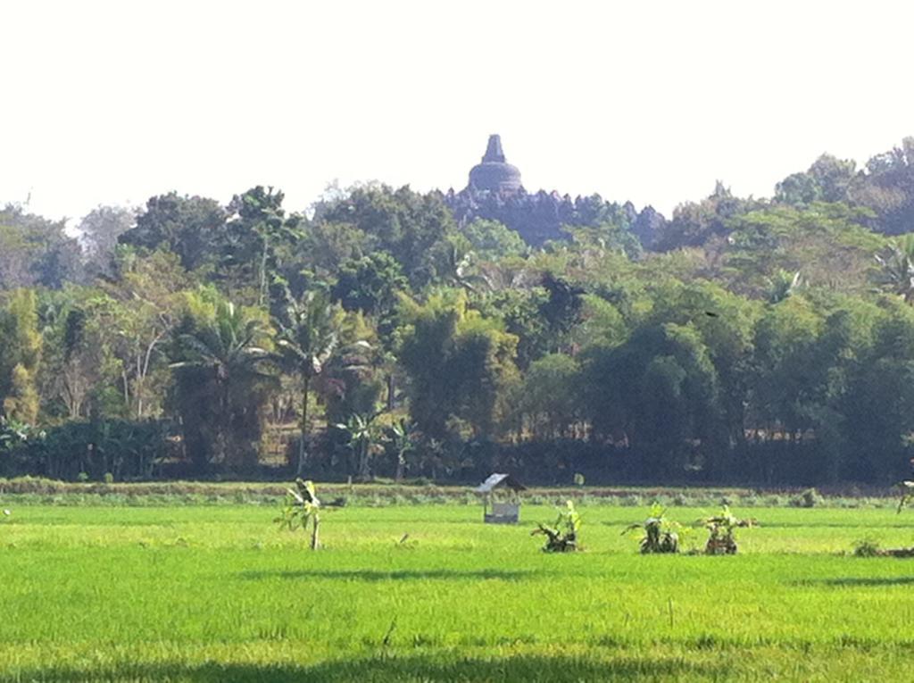 Anugrah Borobudur Magelang Eksteriør billede