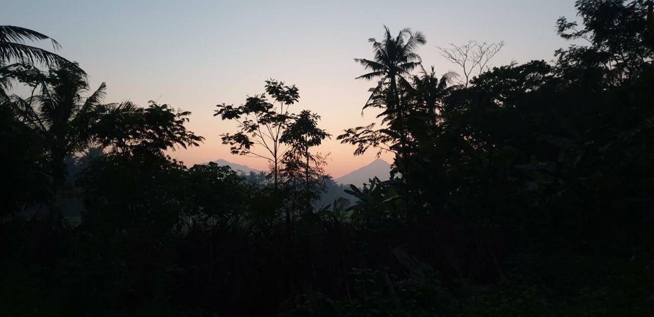 Anugrah Borobudur Magelang Eksteriør billede